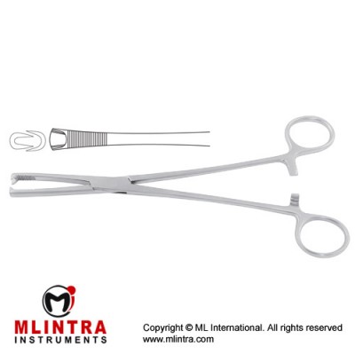 Jacobs Tenaculum Forcep 2 x 2 Teeth Stainless Steel, 21 cm - 8 1/4" Jacobs Tenaculum Forcep 2 x 2 Teeth Stainless Steel, 21 cm - 8 1/4"